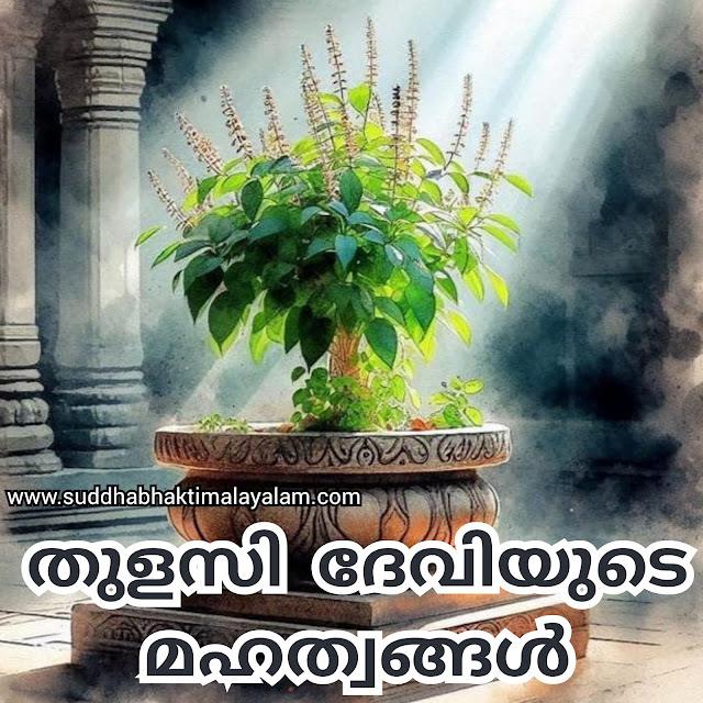 തുളസി ദേവിയുടെ മഹത്വങ്ങൾ