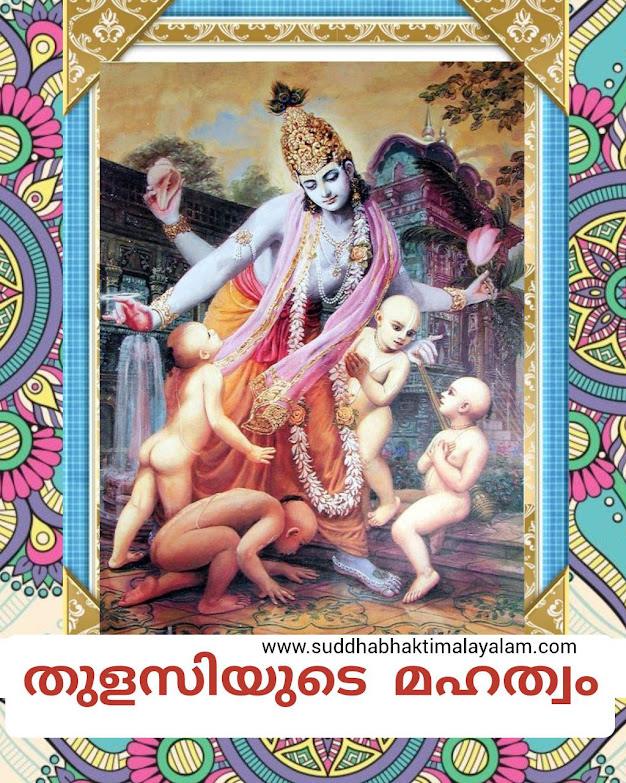 തുളസിയുടെ മഹത്വം