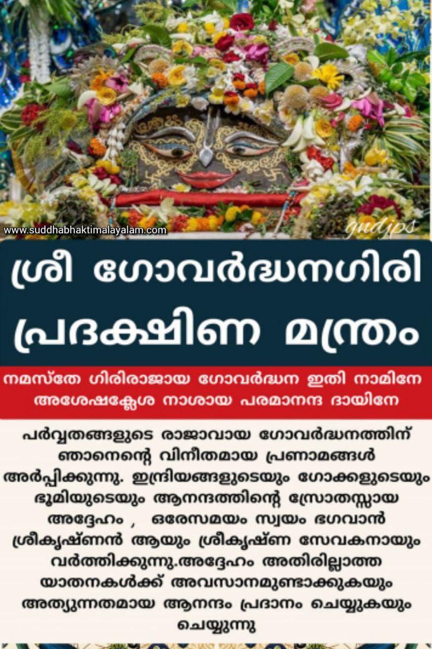 photo_2024-11-02_10-55-36