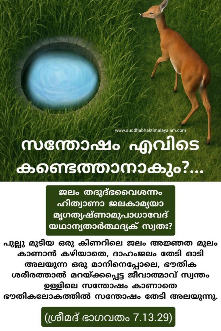 photo_2025-04-22_05-59-00