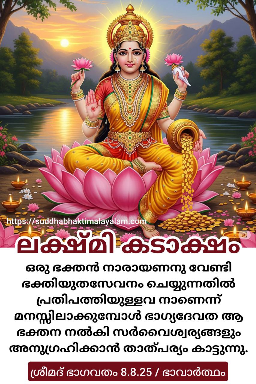 photo_2025-12-26_05-46-41