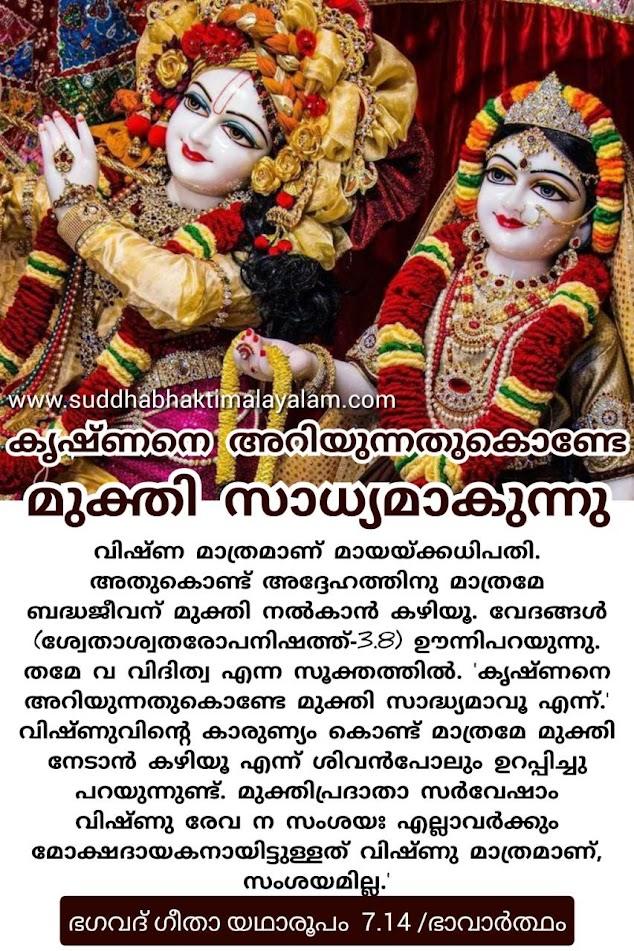 കൃഷ്ണനെ അറിയുന്നതുകൊണ്ടേ മുക്തി സാധ്യമാകുന്നു
