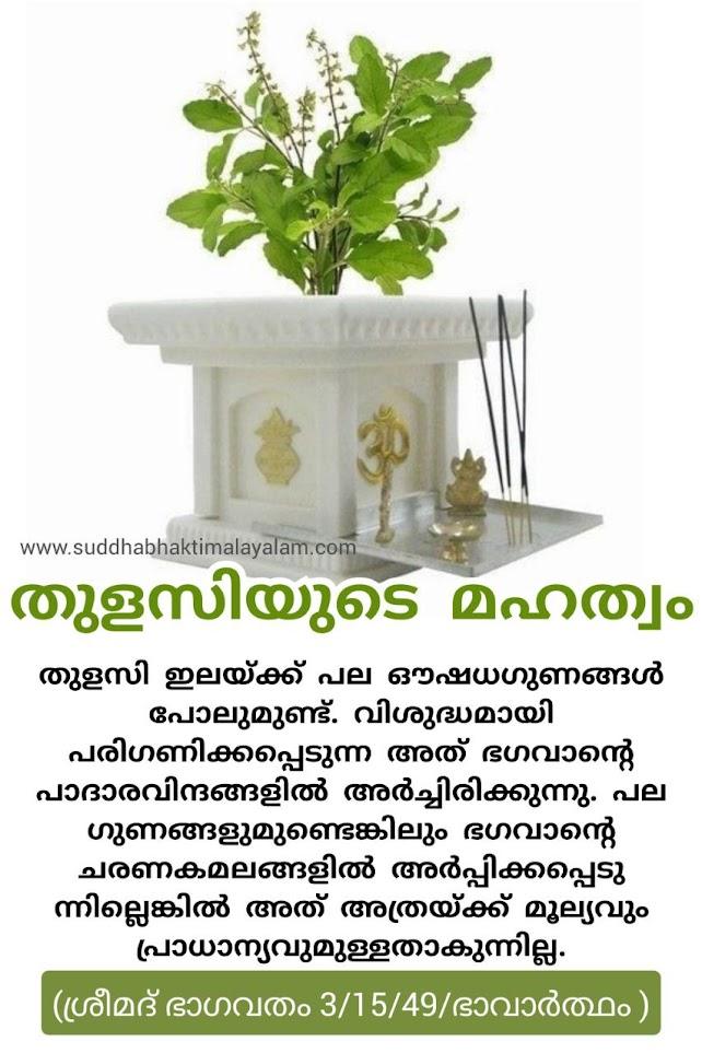 തുളസിയുടെ മഹത്വം 1
