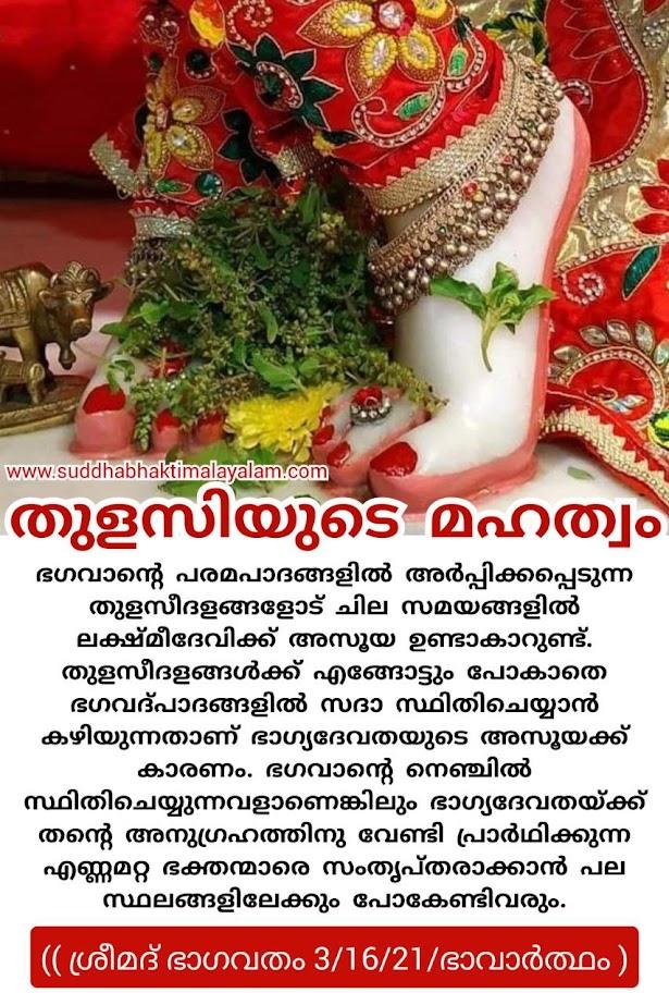 തുളസിയുടെ മഹത്വം 2