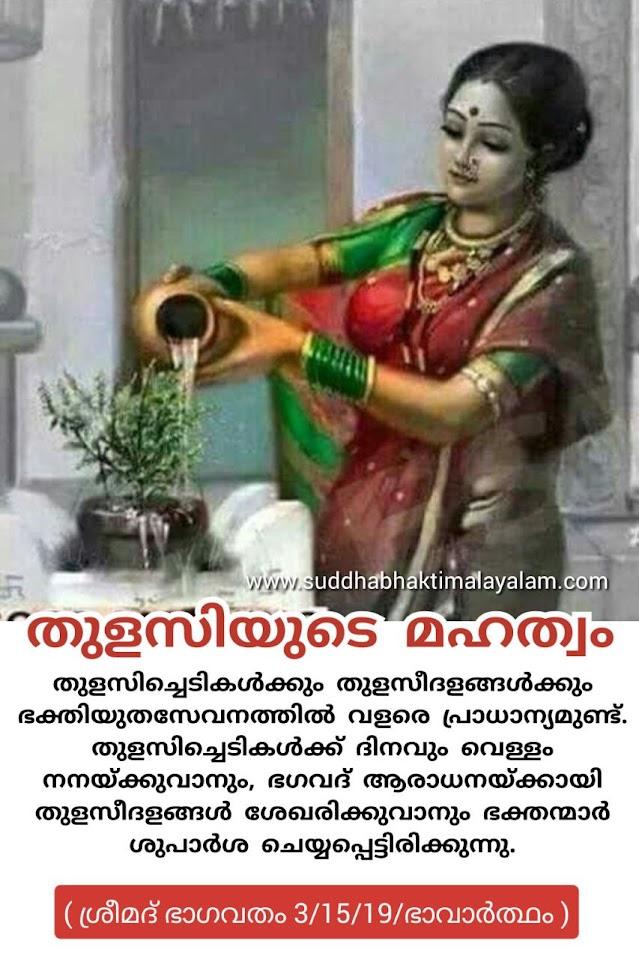 തുളസിയുടെ മഹത്വം 4
