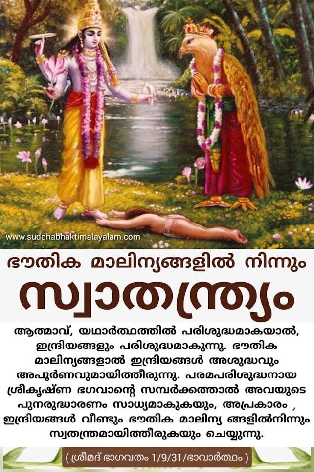 ഭൗതിക മാലിന്യ ങ്ങളിൽനിന്നും സ്വാതന്ത്ര്യം 1