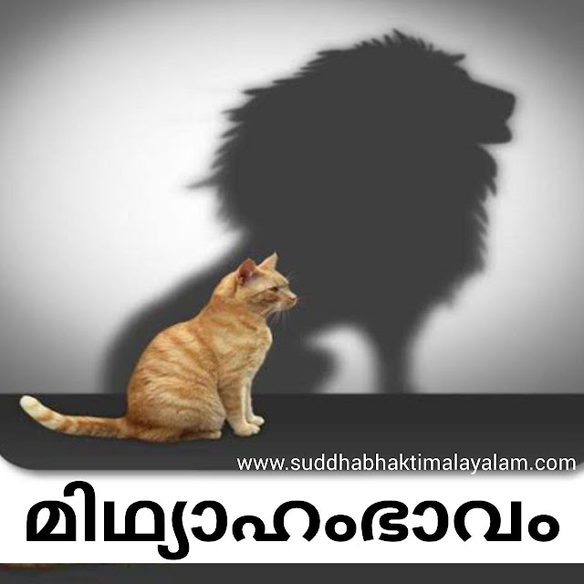 മിഥ്യാഹംഭാവം