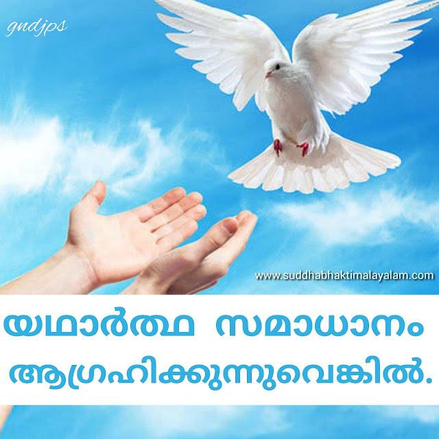 യഥാർത്ഥ സമാധാനം ആഗ്രഹിക്കുന്നുവെങ്കിൽ. . .