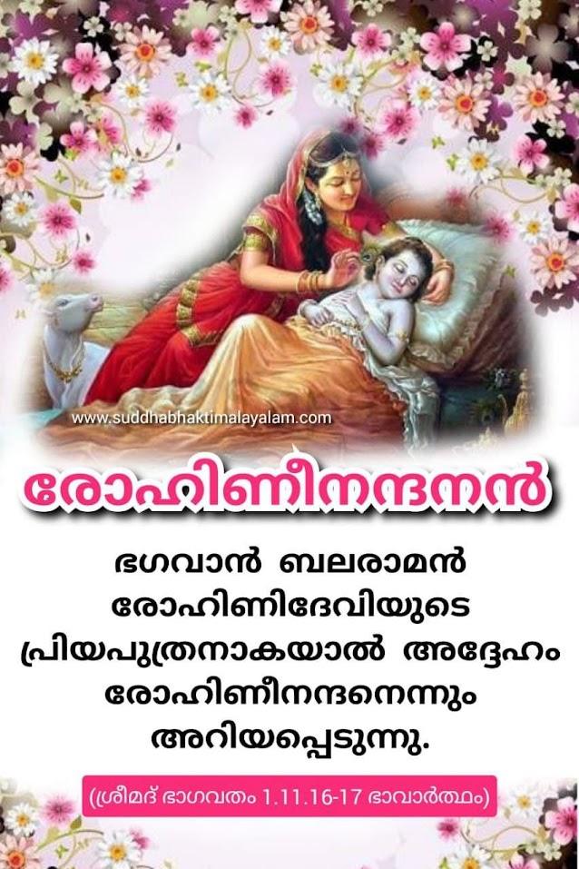 രോഹിണി നന്ദനൻ