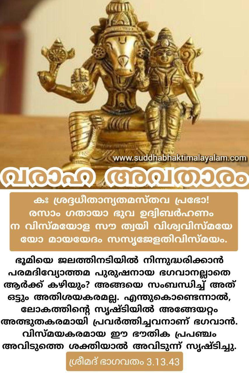 വരാഹാവതാരം 10