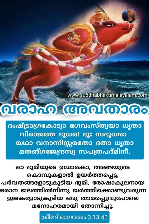 വരാഹാവതാരം 11