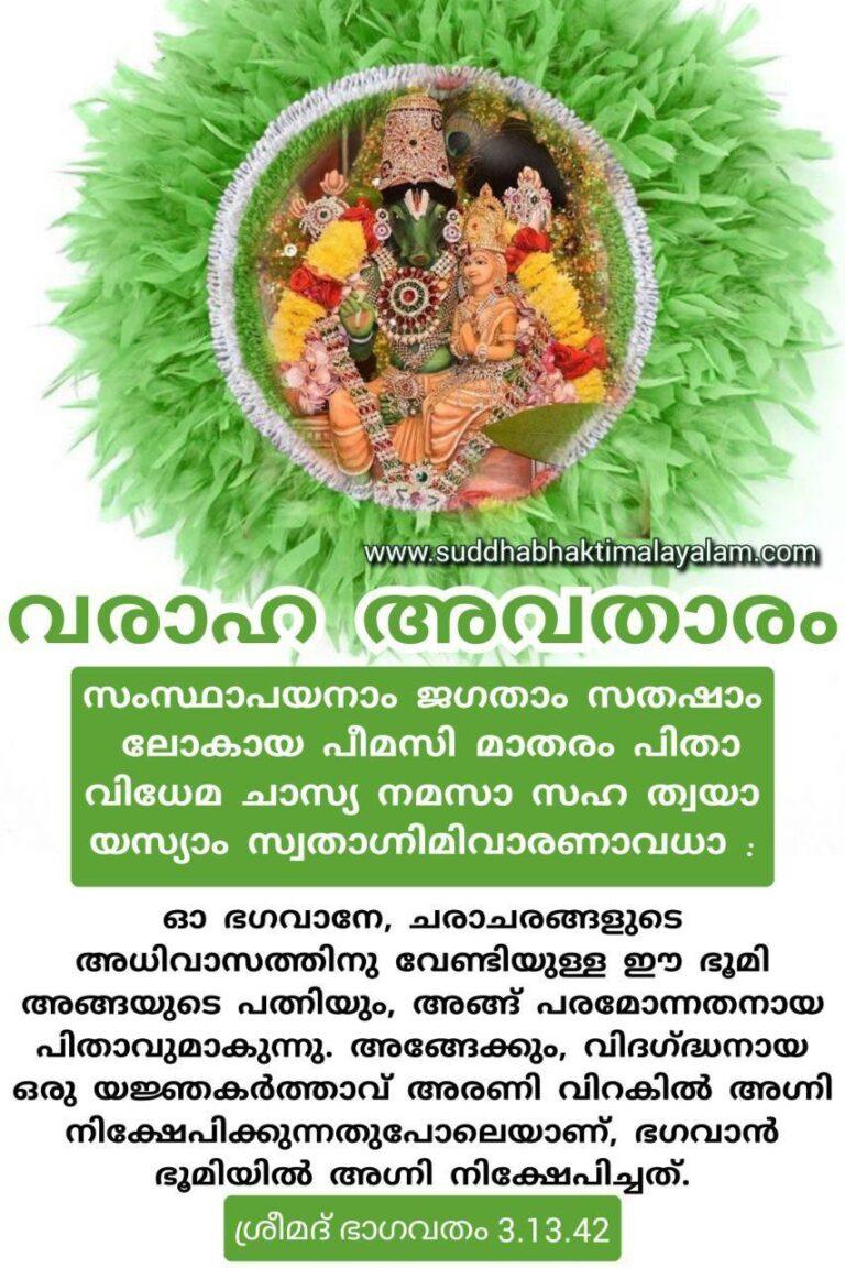 വരാഹാവതാരം 2