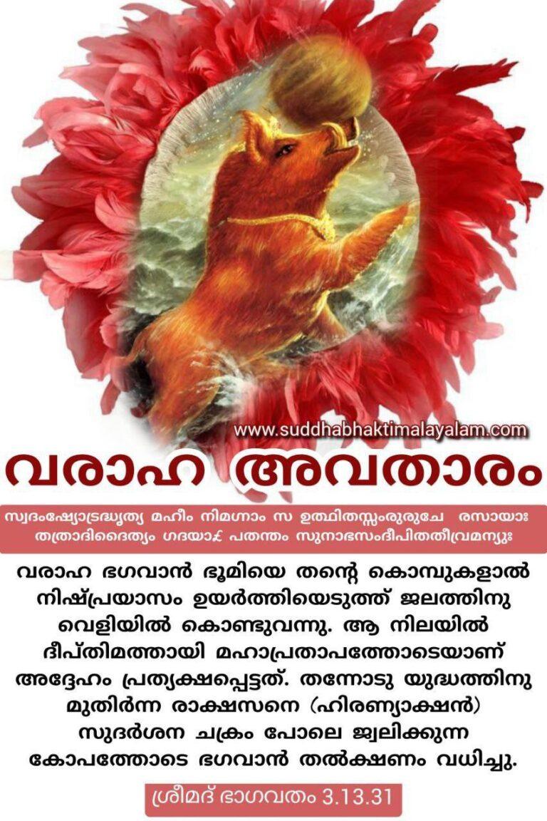 വരാഹാവതാരം 3