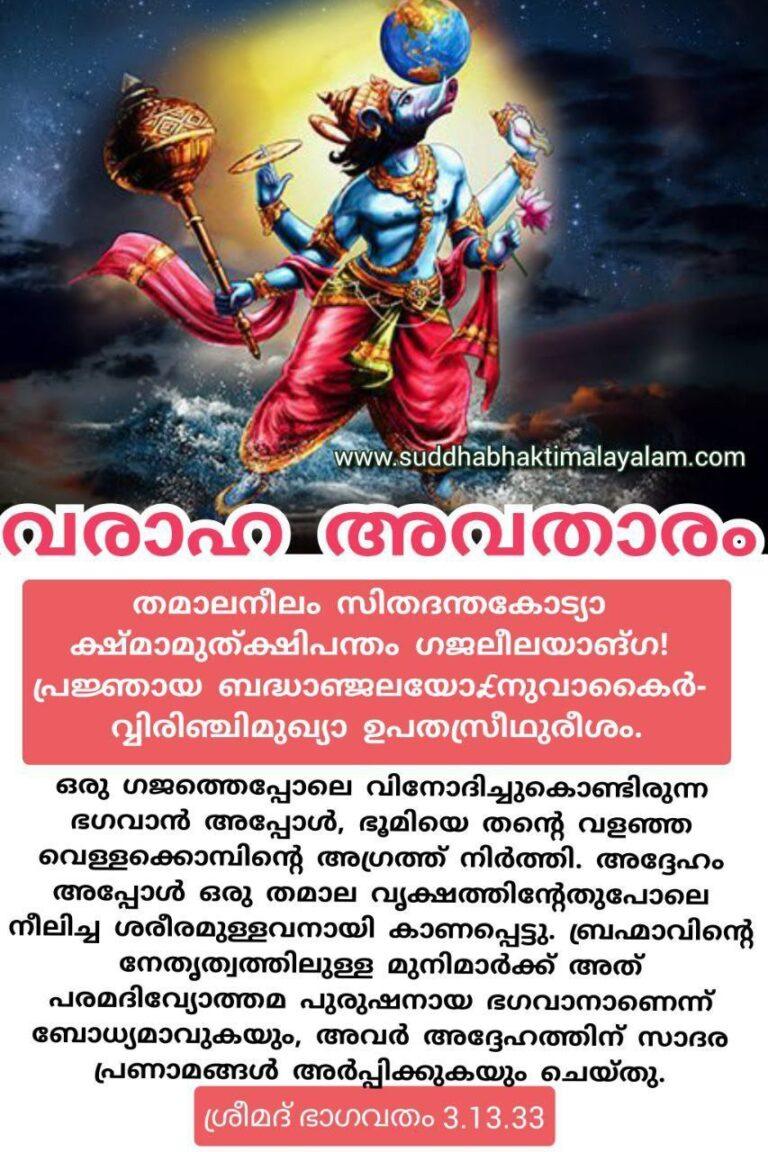 വരാഹാവതാരം 7