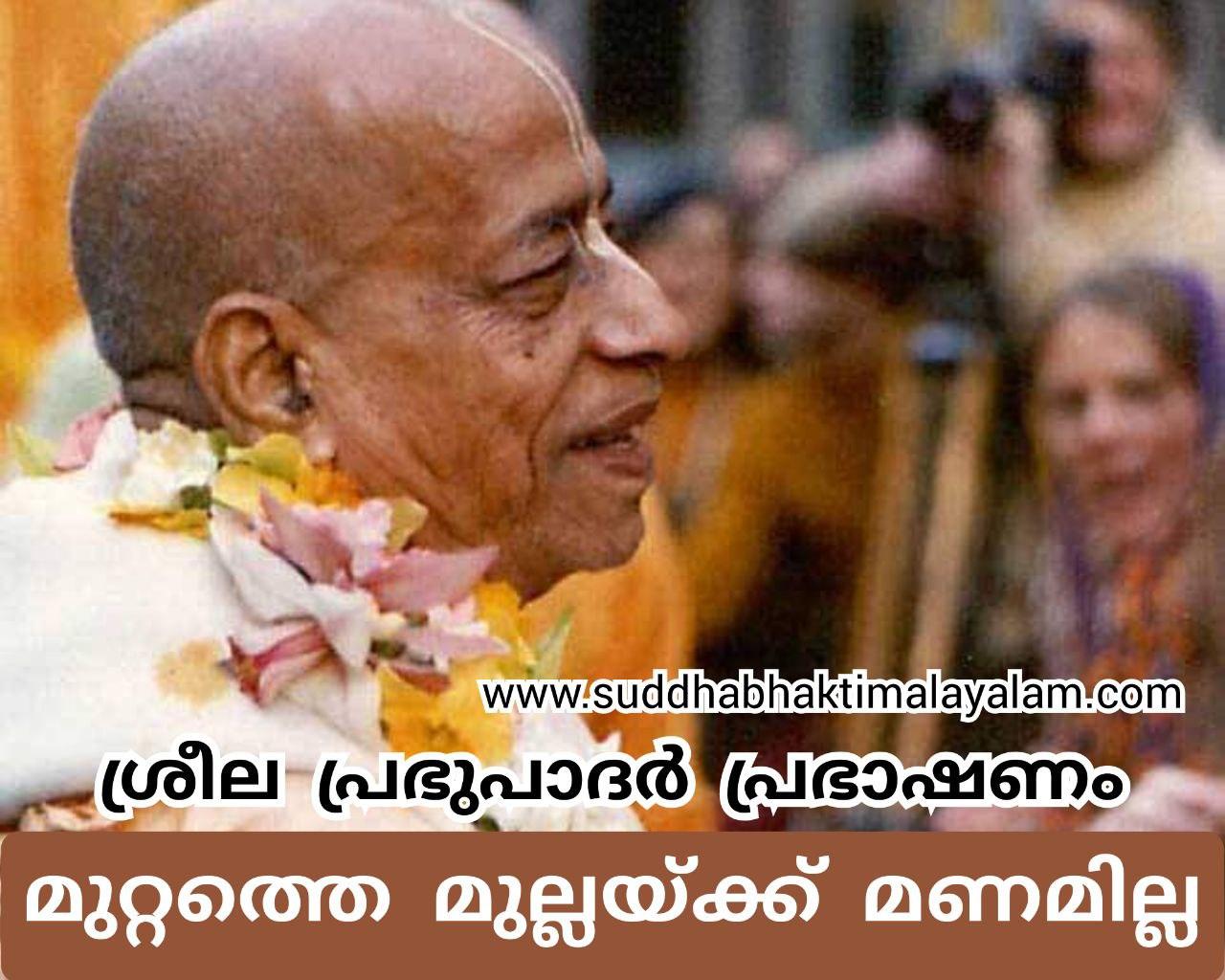 photo_2025-05-10_22-26-51