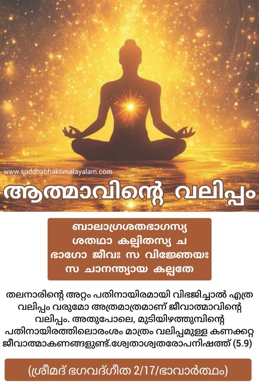 photo_2025-05-16_11-06-21