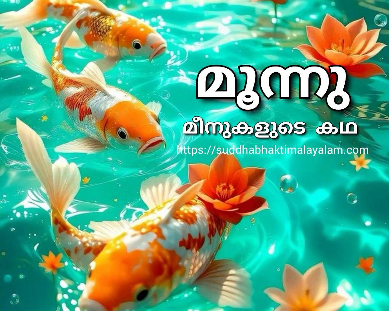 photo_2025-05-20_18-55-49