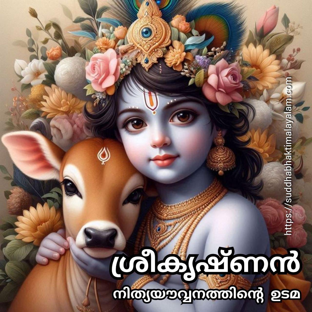 photo_2025-05-29_20-53-55