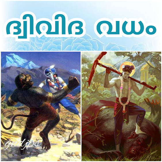 ദ്വിവിദ വധം