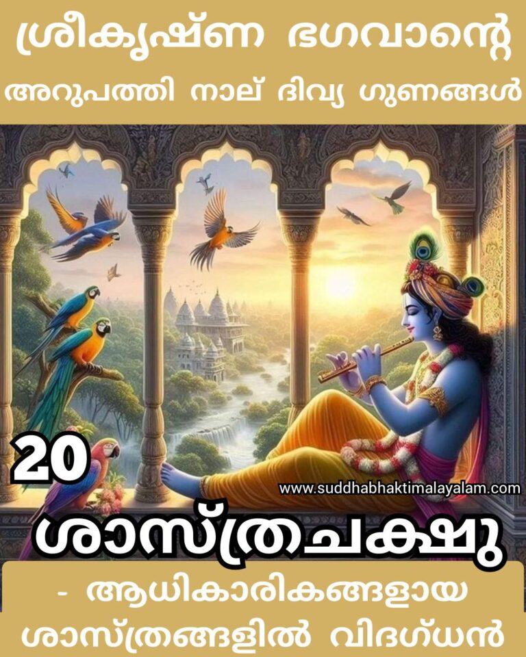 20