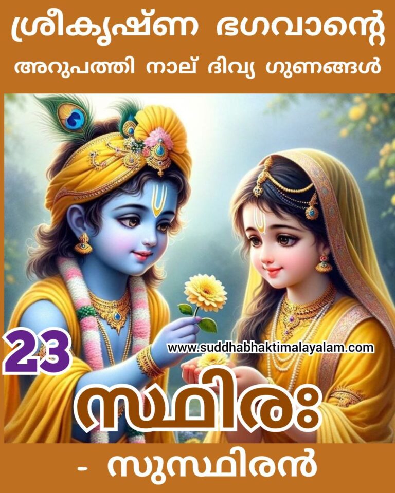 23
