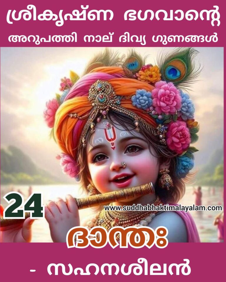 24