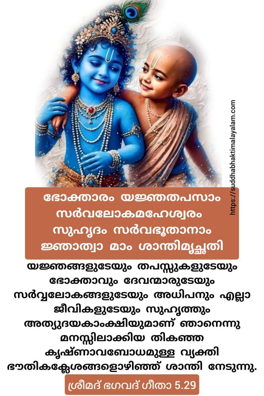 WhatsApp Image 2025-08-03 at 12.40.28_c44eeb57