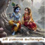 photo_2024-09-04_10-43-10