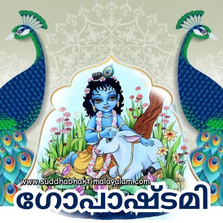 photo_2022-10-31_13-09-58