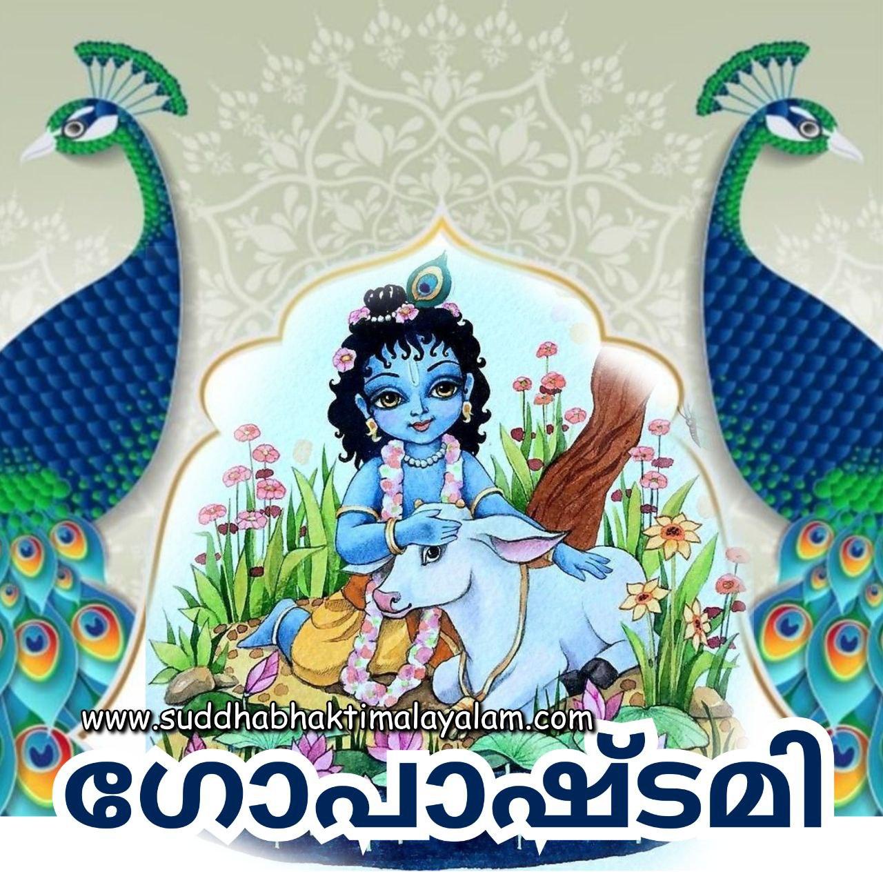 photo_2022-10-31_13-09-58