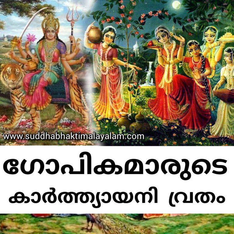 photo_2023-11-28_09-25-36