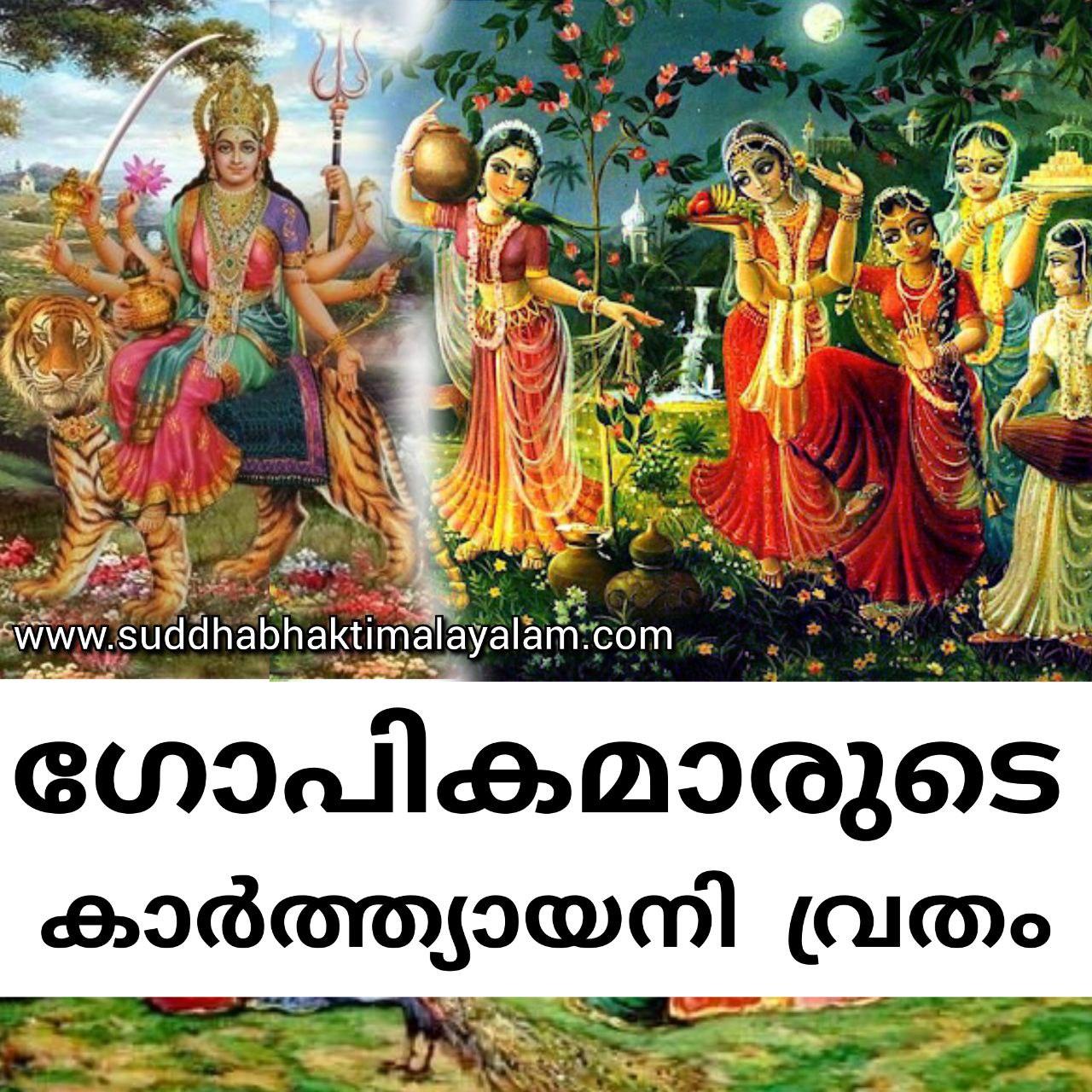 photo_2023-11-28_09-25-36