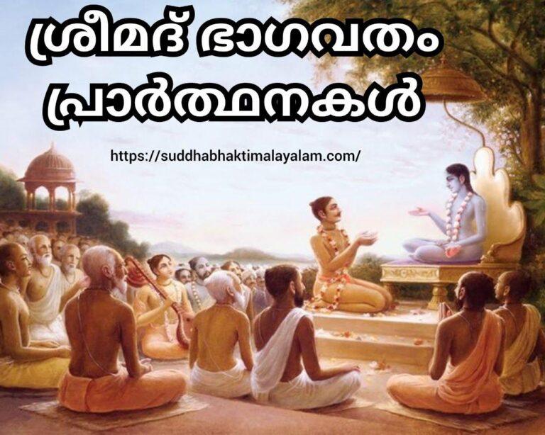 photo_2025-07-11_21-10-23 (1)