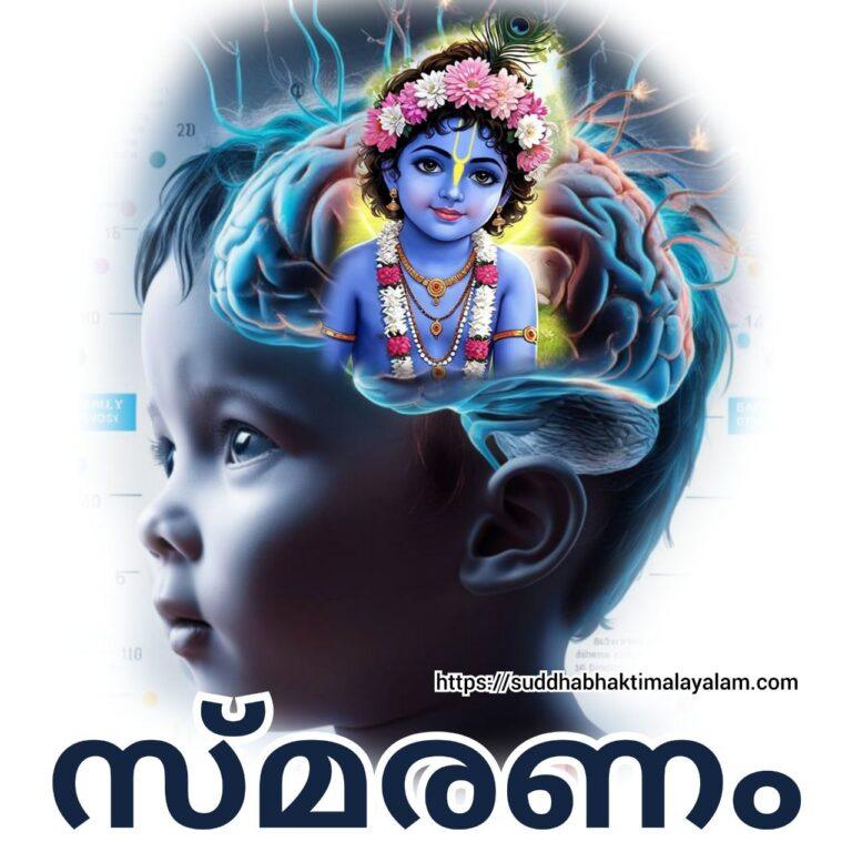 photo_2025-11-07_20-29-00