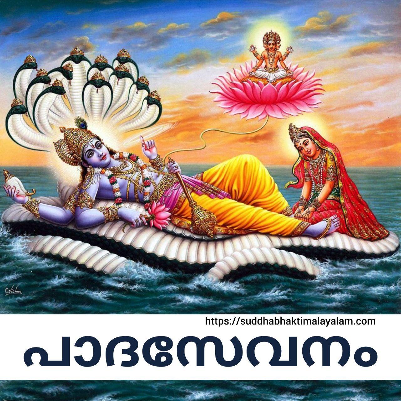 photo_2025-11-07_21-23-21