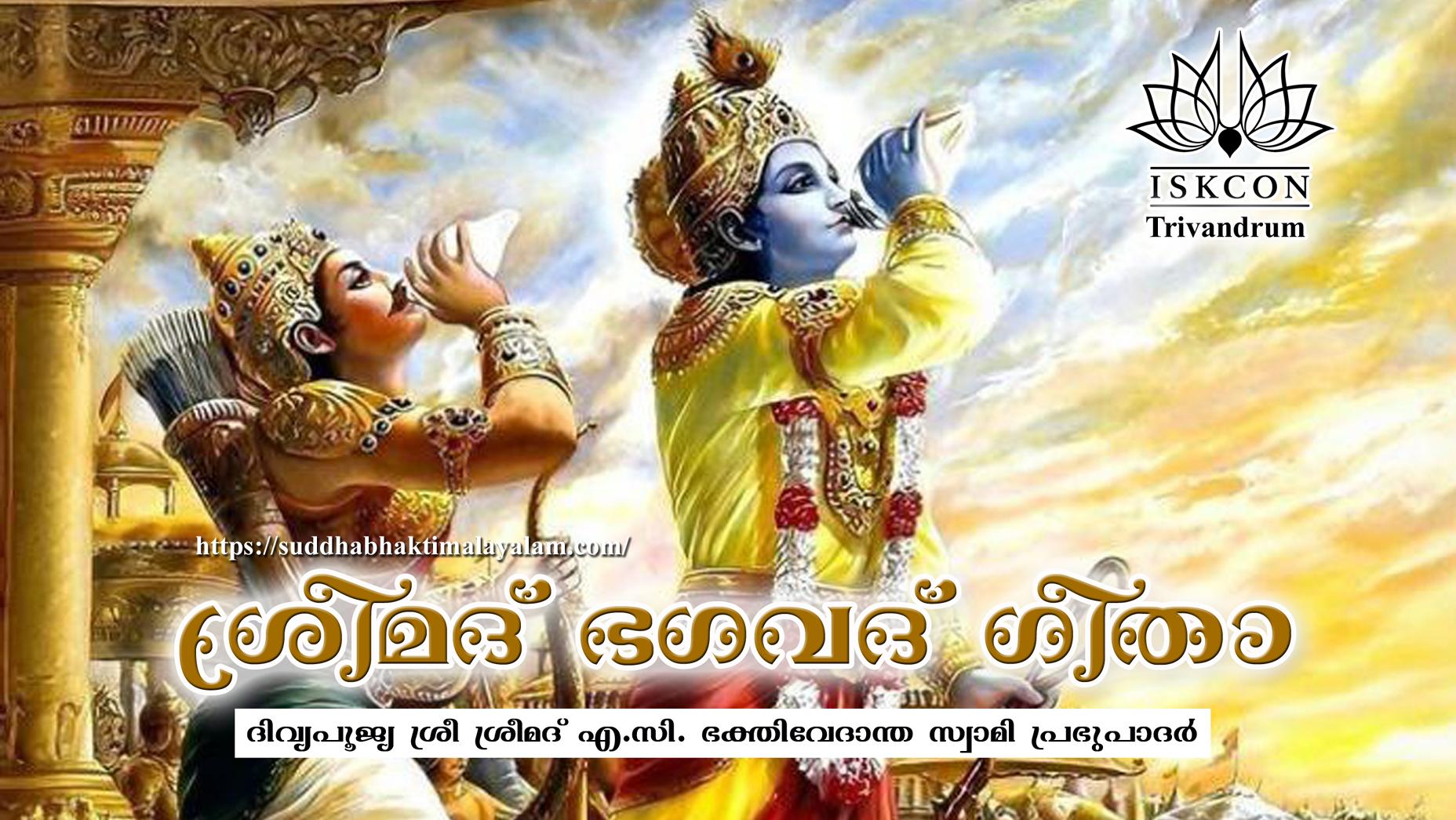 BG Audio Rapper copy