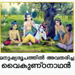 Lord Krishna in Human form copy