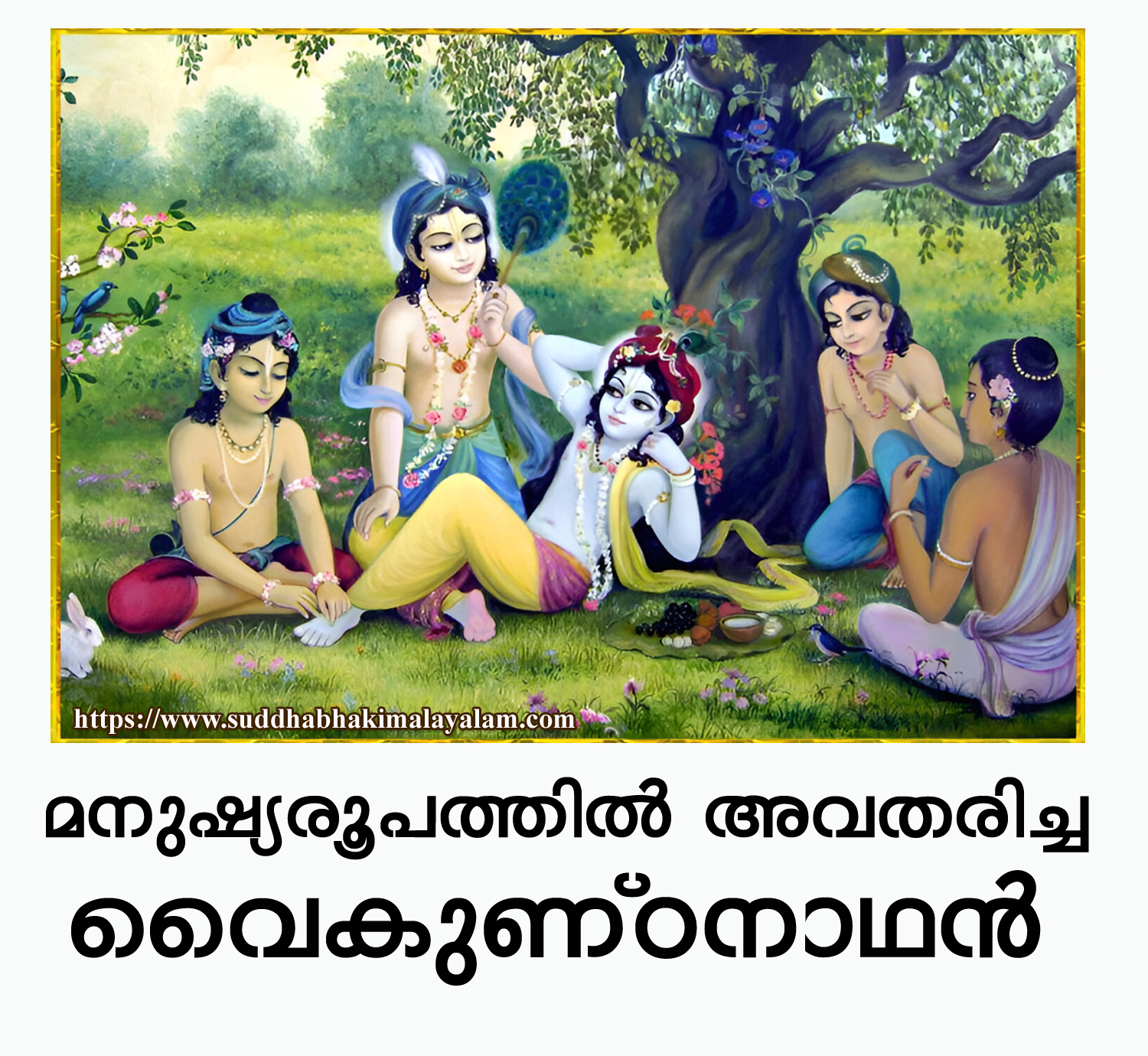 Lord Krishna in Human form copy