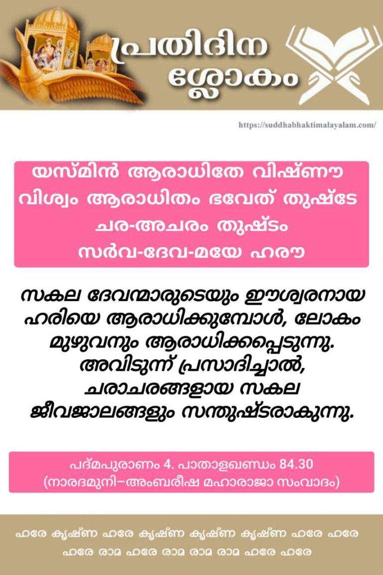 photo_2026-01-02_18-58-28