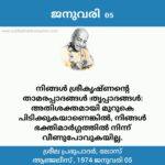 photo_2026-01-02_19-52-55 (3)