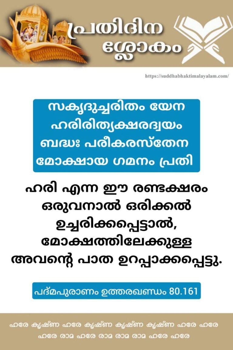 photo_2026-01-03_18-45-48