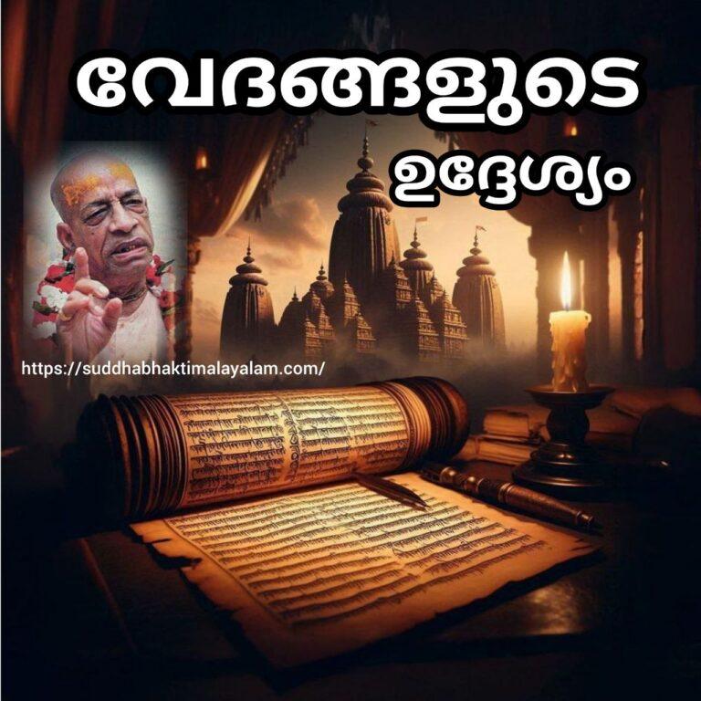 photo_2026-01-03_20-08-31