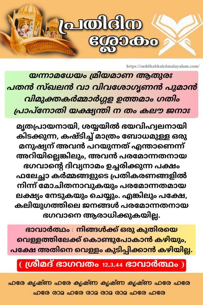 photo_2026-01-04_20-23-22