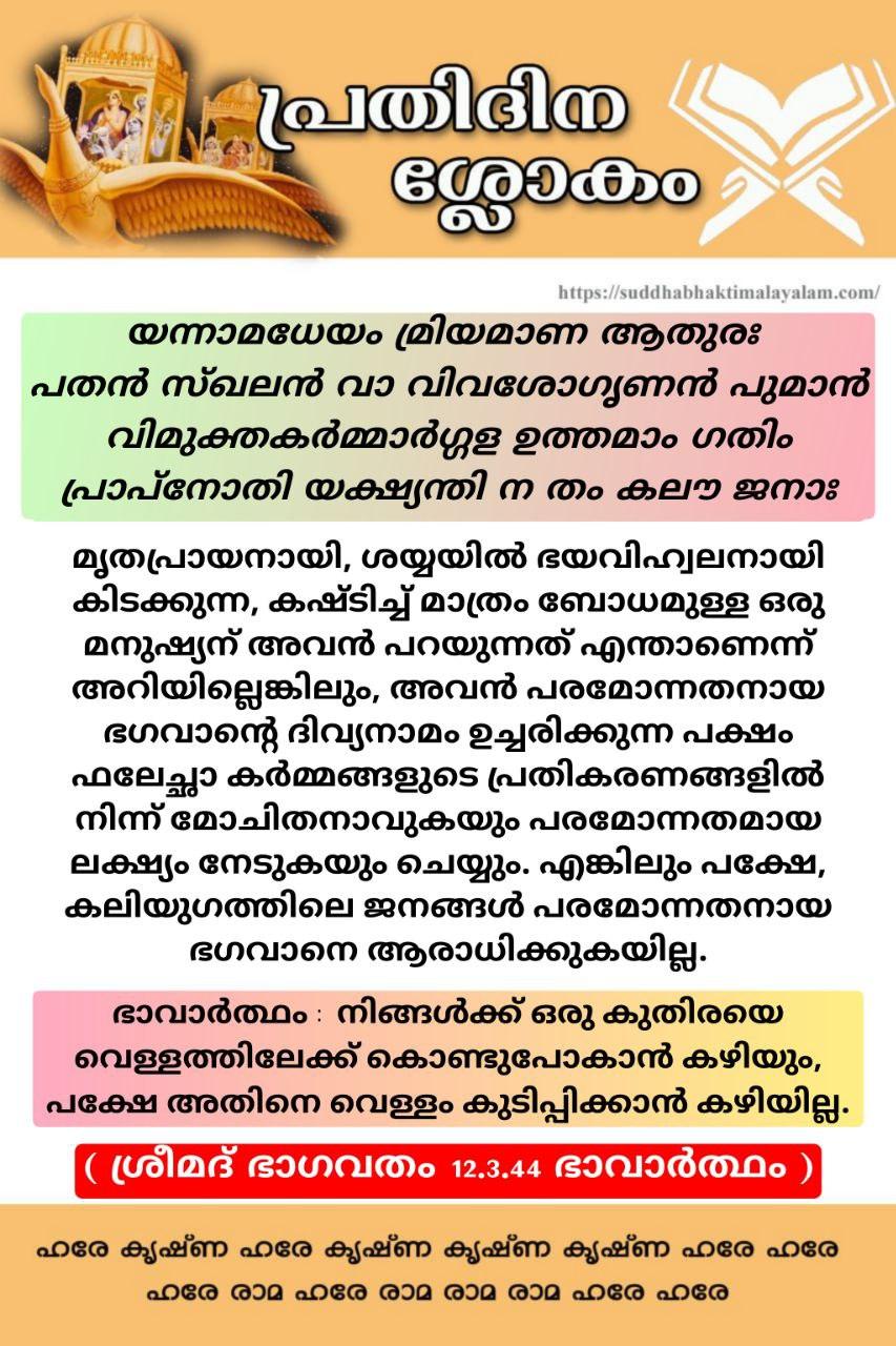 photo_2026-01-04_20-23-22