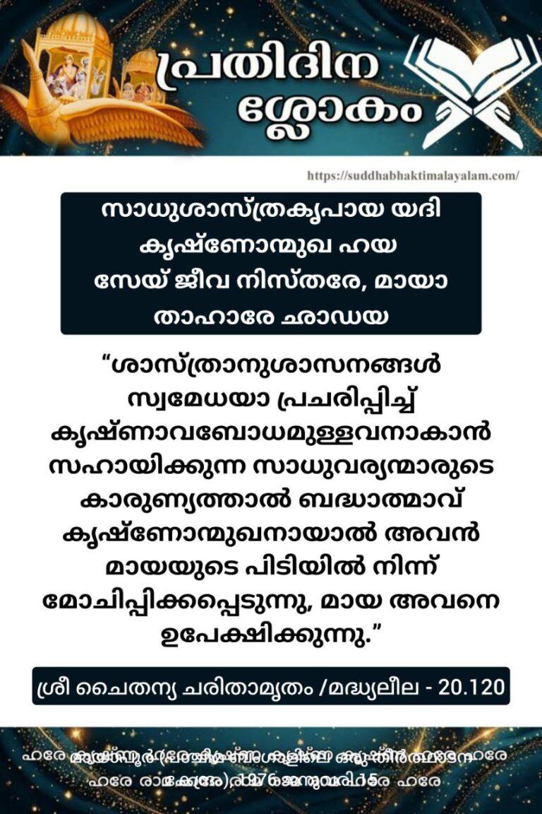 photo_2026-01-11_22-51-16