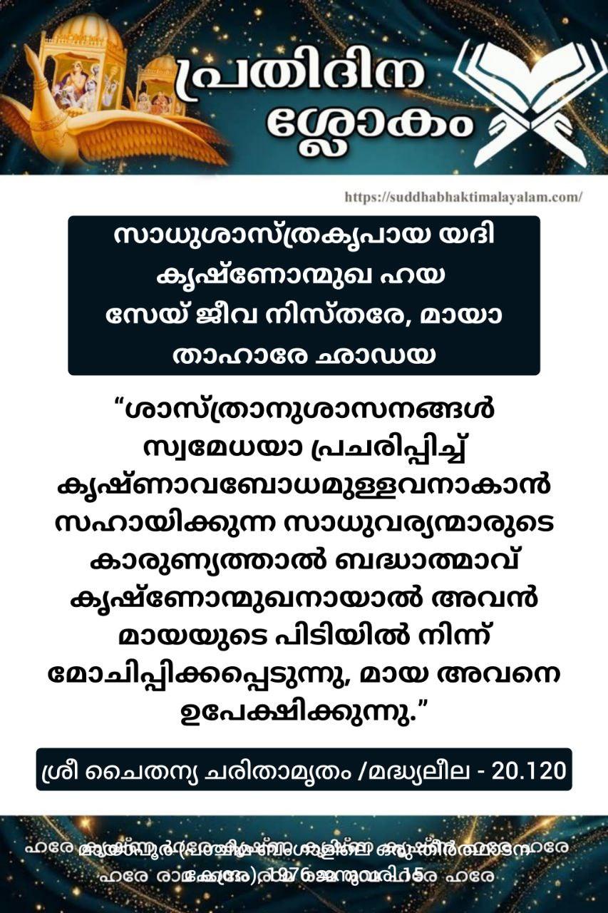 photo_2026-01-11_22-51-16