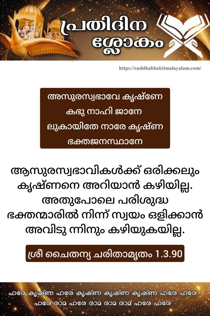 photo_2026-01-25_12-43-36