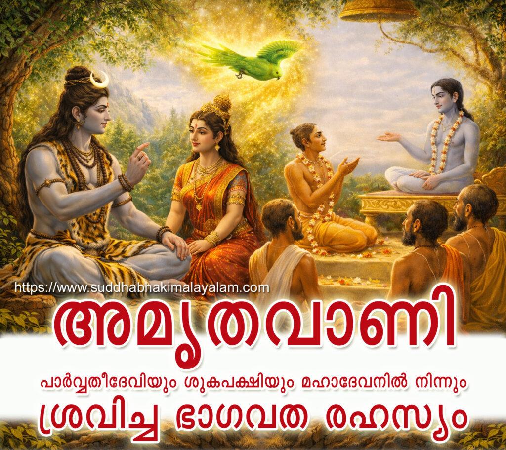 Suka the Parrot copy