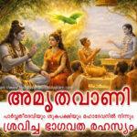 Suka the Parrot copy