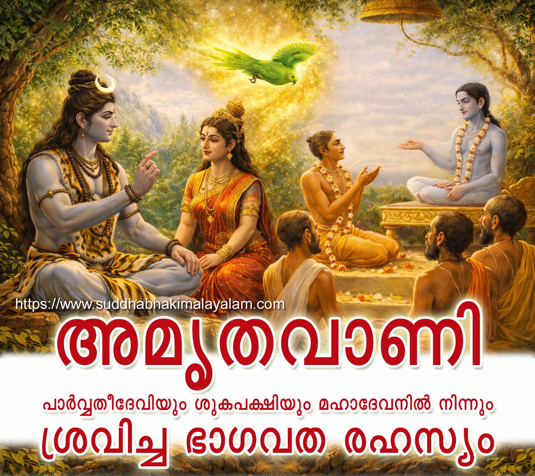 Suka the Parrot copy